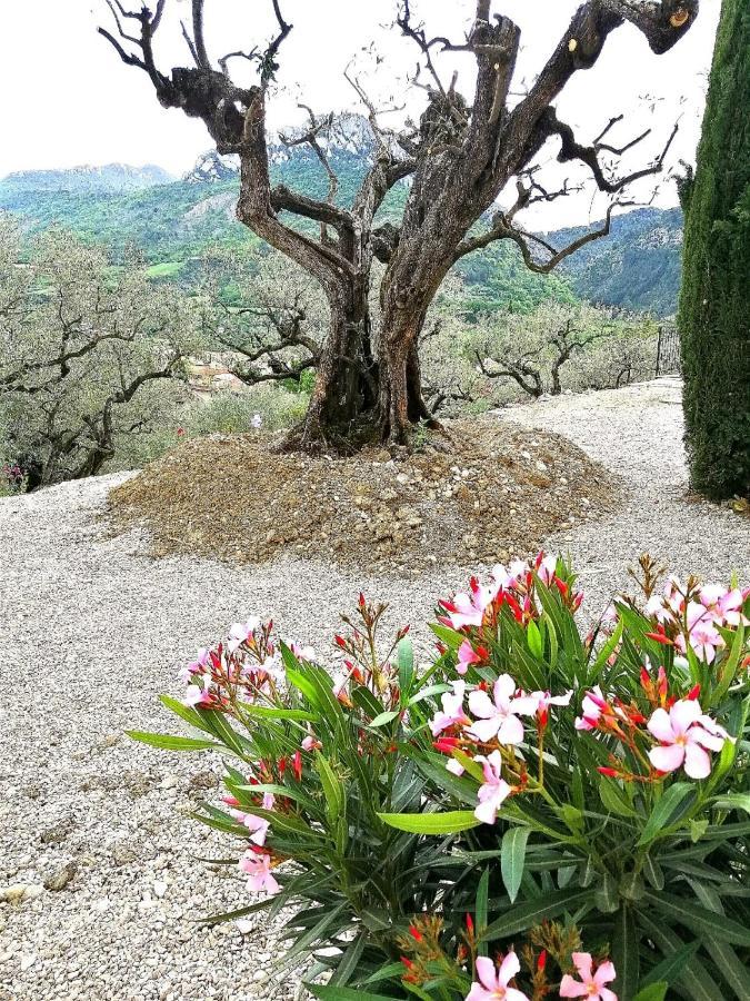 Le Mas Christiane Buis-les-Baronnies Zewnętrze zdjęcie